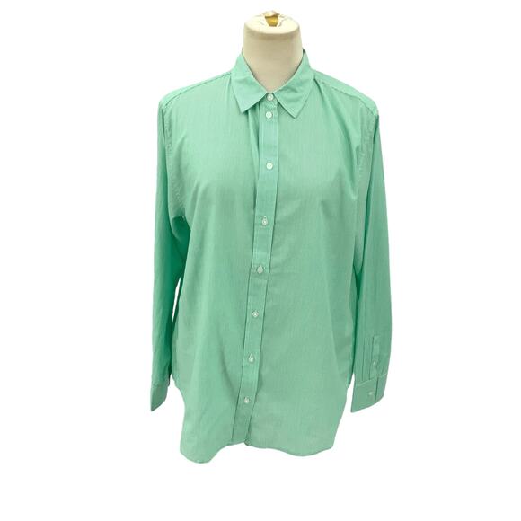 Everlane 100% Cotton Green Striped Button Down Oversized Shirt Size 12 NWT - Picture 2 of 7